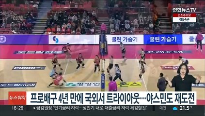 프로배구 4년만에 국외서 트라이아웃…야스민도 재도전