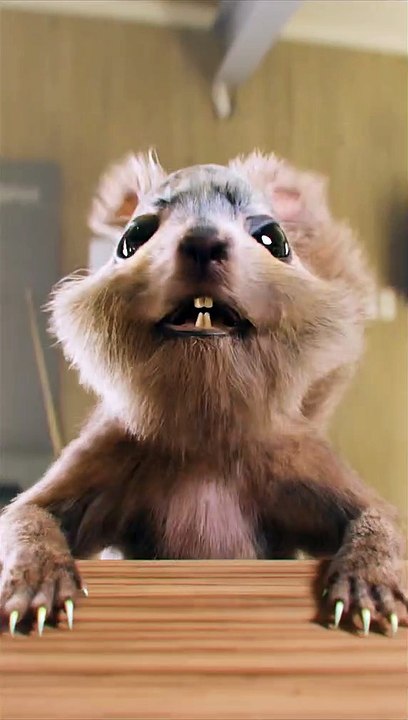 @Queen #pet we will kak you