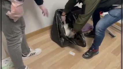 İstanbul'da uyuşturucu operasyonu: 3 gözaltı