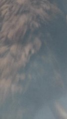 CAM - Une entreprise crée une boulette de viande de mammouth (mais elle ne peut pas être mangée)