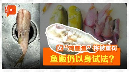 鸡腿鱼致命事件再现：为何仍有人冒险售卖？🐟