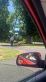 Dog Patiently Waits for Elderly Owner to Cross Street