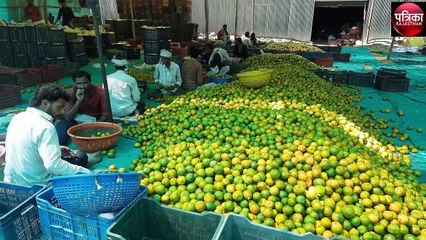यहां 200 करोड़ से अ​धिक का है संतरों का कारोबार