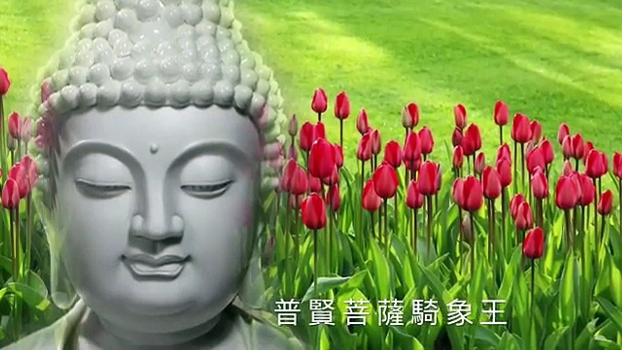 佛説眼明經 The Clear Vision Sutra