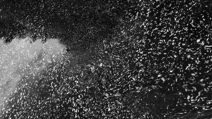 Evgueni Galperine - Cold Front