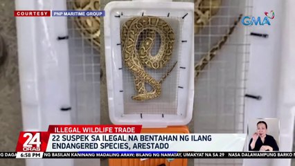 22 suspek sa ilegal na bentahan ng ilang endangered species, arestado | 24 Oras