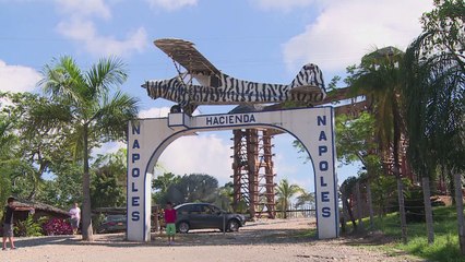 Flusspferde von Drogenboss Escobar werden zur Plage