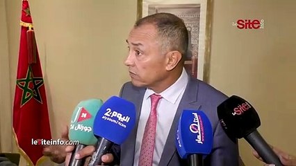 الرباط.. الشامي يكشف دور المعادن الاستراتيجية والحرجة بشأن الانتقال الطاقي والأمنين الدفاعي والغذائي