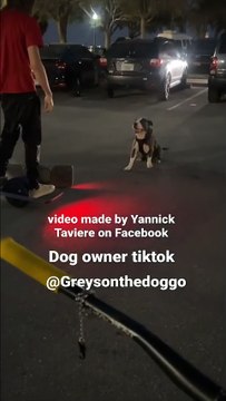 #fyp #pitbulls #pitbulllove #onewheel #dog #doglovers #dogs #dogtraining