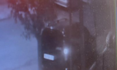 AVCILAR'DA CENİNİ CAMİ ÖNÜNDEKİ AĞACIN DİBİNE GÖMDÜLER -1