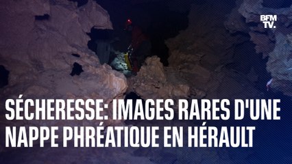 Sécheresse: des images rares d'une nappe phréatique de la grotte de Clamouse en Hérault