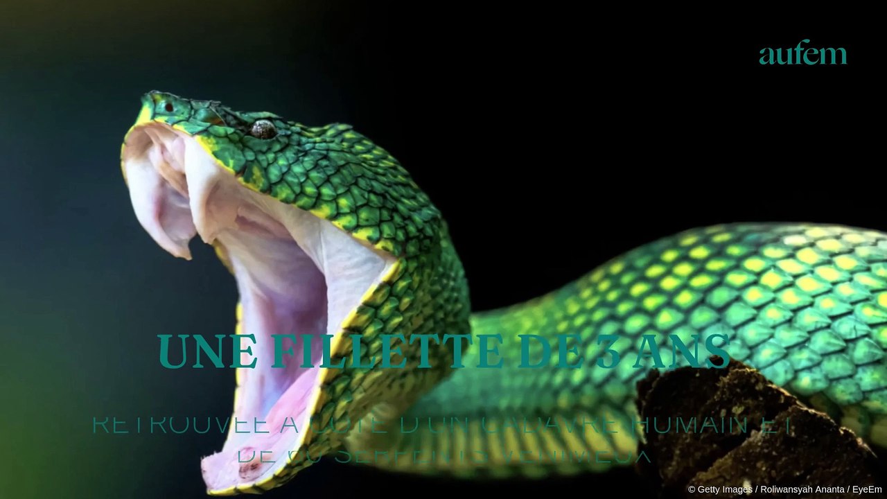 Une fillette de 3 ans retrouvée à côté d’un cadavre humain et de 60 serpents venimeux
