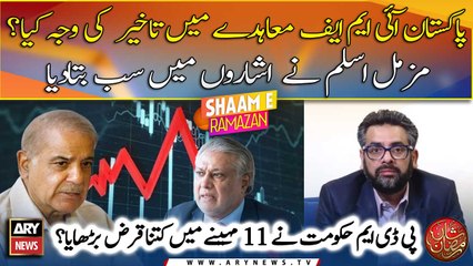 What caused the delay in the Pakistan IMF agreement? Muzzammil Aslam comments