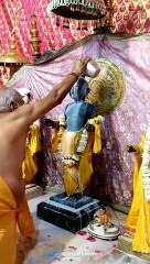 राम जन्मोत्सव: श्रीराम के जयकारों से गूंजा शहर