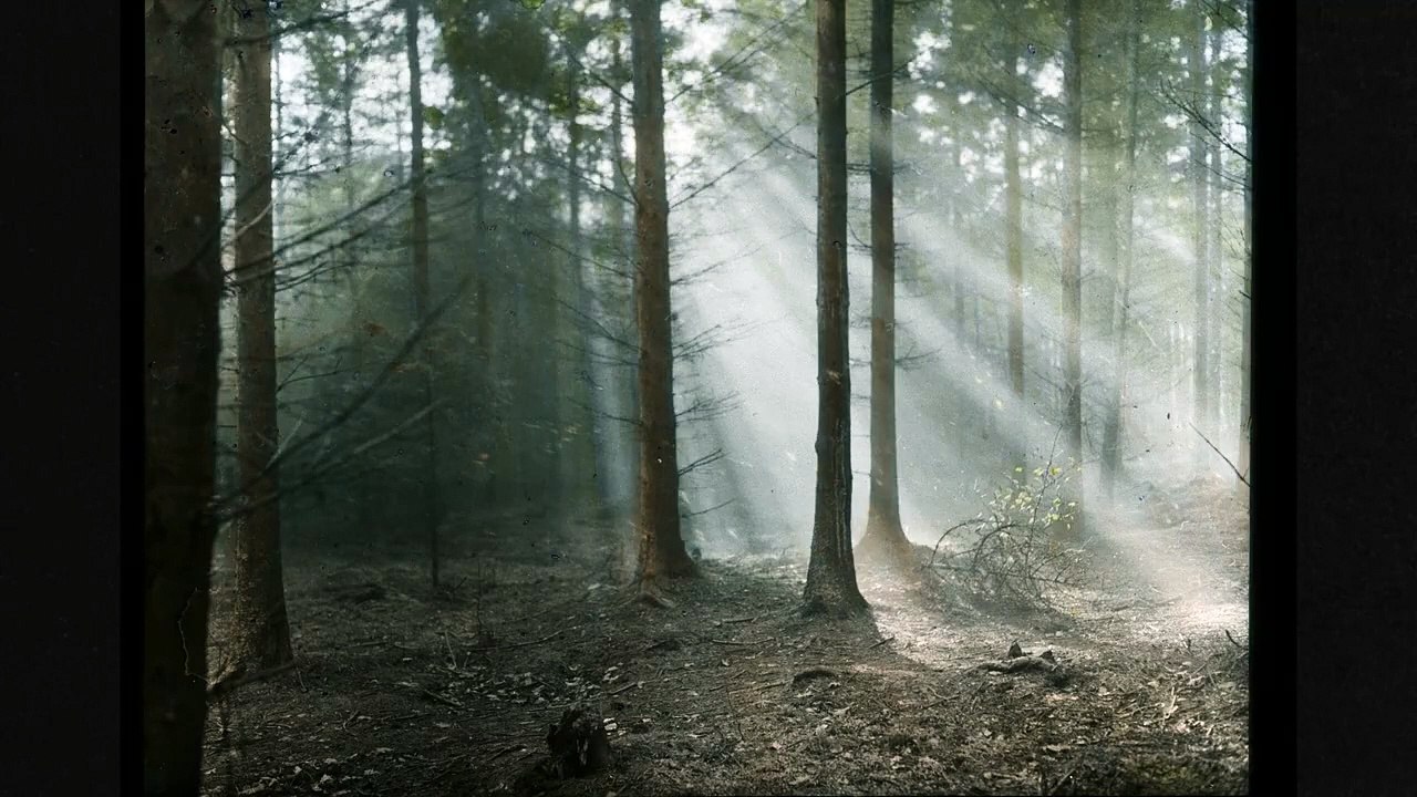 Die toten Vögel sind oben - Trailer (Deutsch) HD