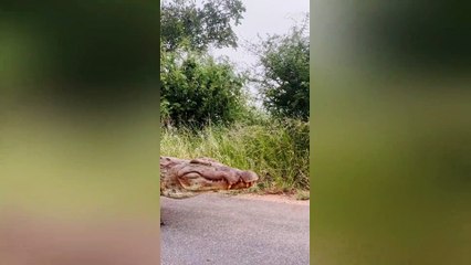 Just passing through