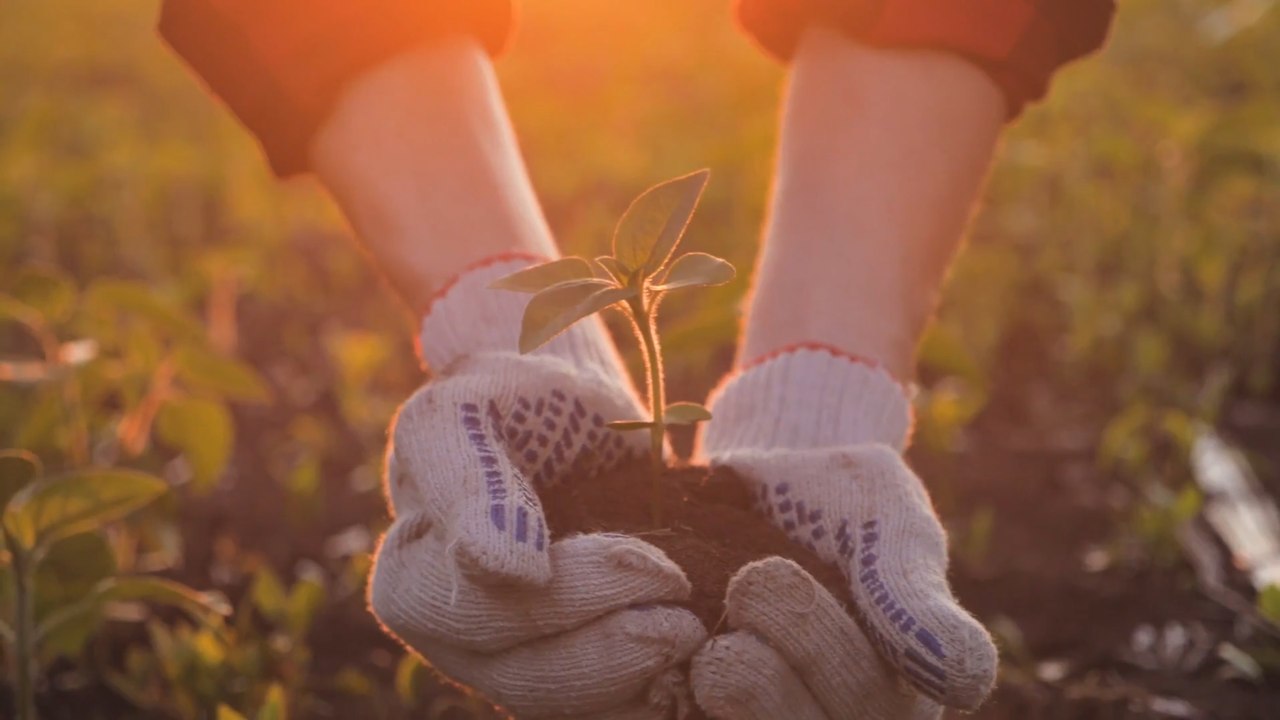Spring gardening: Space saving hacks for the budding gardener to grow your own with ease