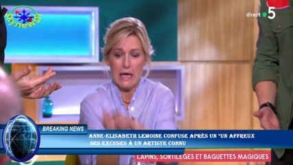 Anne-Elisabeth Lemoine confuse après un "un affreux  ses excuses à un artiste connu