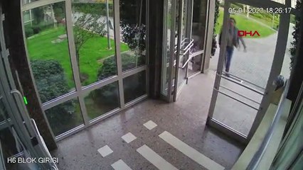 Kedilere eziyet eden saldırgan tahliye edildi