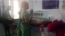 जमुई: करेंट लगने से राजमिस्त्री दो मंजिला छत से गिरकर हुआ जख्मी, पटना रेफर