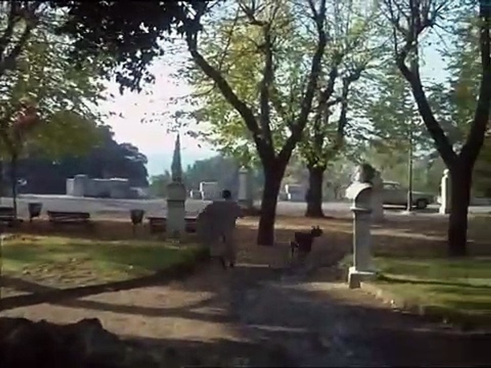 Renato Pozzetto scene migliori divertenti Gaetano, alle volte hai dei modi talmente inurbani che ti spaccherei la faccia Film cult La casa stregata 1982 alano