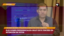 Elecciones presidenciales: Miley está tercero en intención de votos