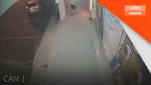 Polis buru lelaki pukul, bakar anjing di Skudai