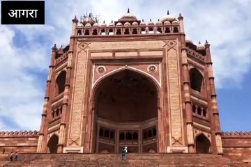 फ्रांसीसी पर्यटकों पर मधुमक्खियों का हमला