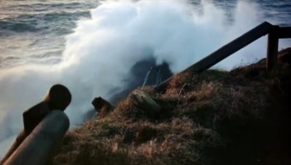 La Jeune Fille et la Mort Bande-annonce (UK)