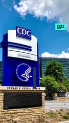 Candida auris, ce champignon qui inquiète le monde