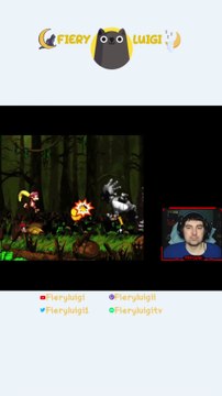 Kudgel part 1 Donkey Kong Country 2: Diddy's Kong Quest #shorts