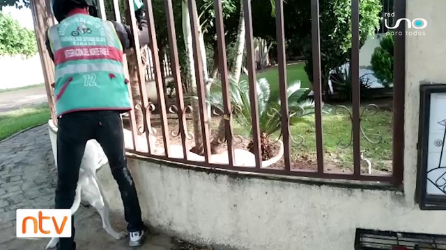 Vecinos de una urbanización en Satélite Norte están preocupados por los constantes ataques de un perro Pitbull a otras mascotas