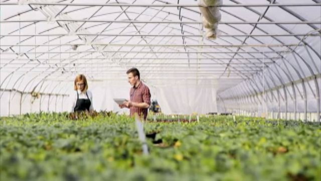 Molise a Cibus connecting: il 2023 sarà l'anno della biodiversità