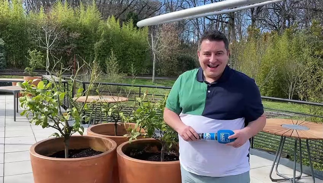 Des Roses et des Orties