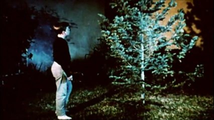 Magic Christmas Tree Bande-annonce (EN)