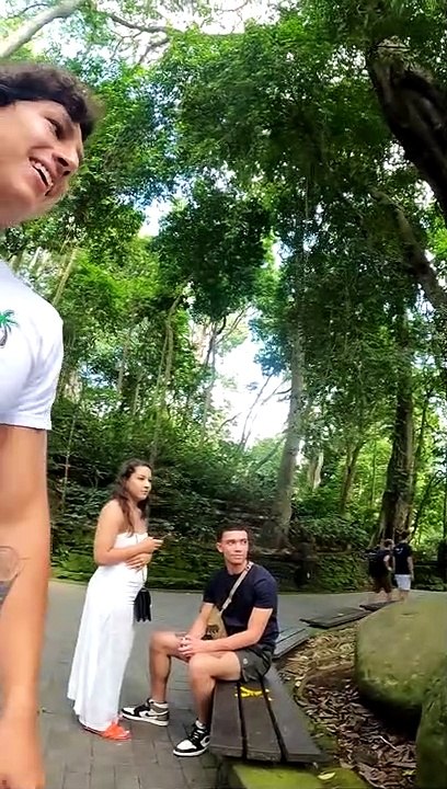 Monkey Does Not Enjoy Pets