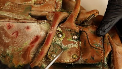 Professionals deep clean extreme mold buildup