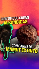 Empresa crea albóndigas de mamut extinto