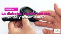 La diabetes ¿cuáles son sus síntomas y tratamiento?