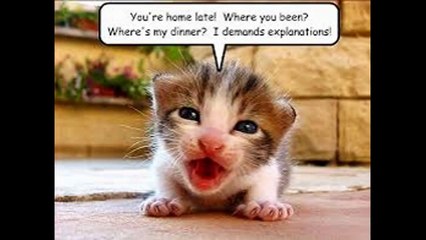 Adorable & Hilarious Animal Babies That Will Melt Your Heart 🐾