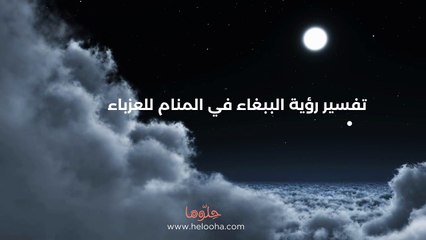 تفسير رؤية الببغاء في المنام للعزباء