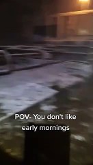 Vaca finge estar a dormir para não ser ordenhada