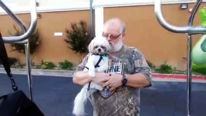 Failure of cats, dogs    Funny Animal Videos weekly 2015    Funny Berry Animals #25 (2)