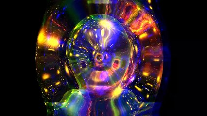 AN UNIDENTIFIED FLYING ANIMAL (USA) OVER THE WHITE HOUSE