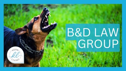B&D Law Group | KERN LIVING