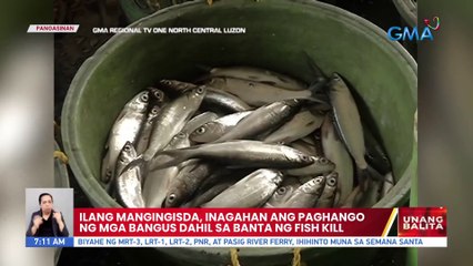 Ilang mangingisda, inagahan ang paghango ng mga bangus dahil sa banta ng fish kill | UB