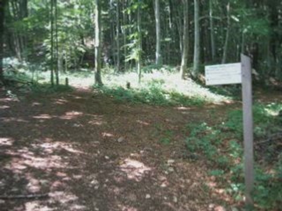 Trail saleve