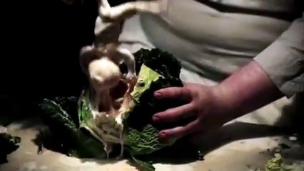 Patch Town | movie | 2014 | Official Trailer