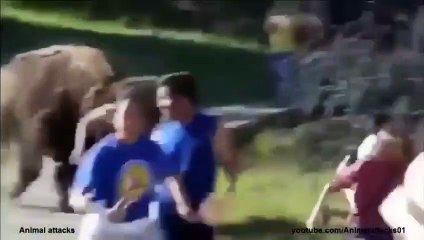When animal attack human ,rhino, elephant attack funny compilation 2015 (3)