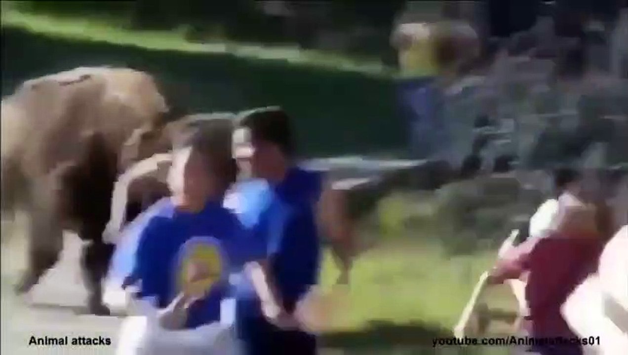 When animal attack human ,rhino, elephant attack funny compilation 2015 (3)